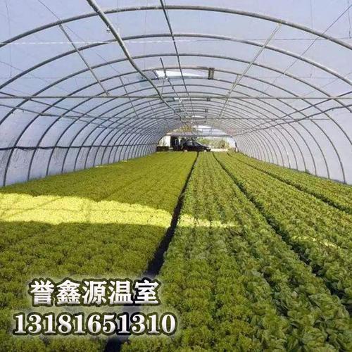薄膜溫室 骨架材料